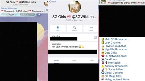 sg mega leaks|Telegram group members share videos of sexual acts。